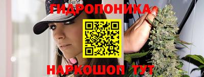 стаф Ливны