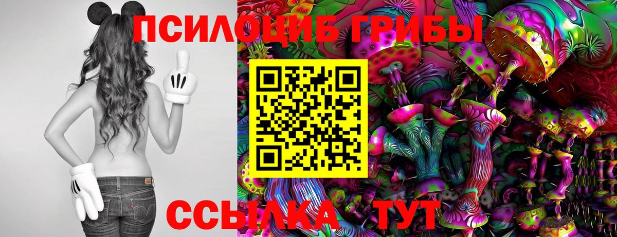 Галлюциногенные грибы GOLDEN TEACHER Калач-на-Дону